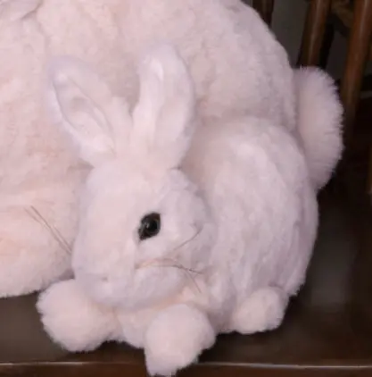 Baby Rabbit Plush Toy – 10 Inch Soft Stuffed Animal By Ditz Design 2
