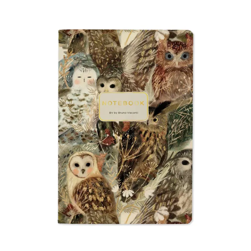 Bruno Visconti Bv Owl-Themed Notebook 1