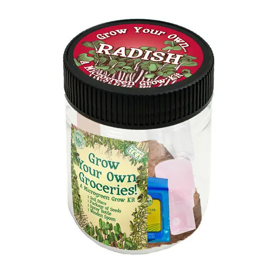 Channel Craft Radish Grow-Your-Own Groceries Kit – Indoor/Outdoor Herb Garden Starter 1