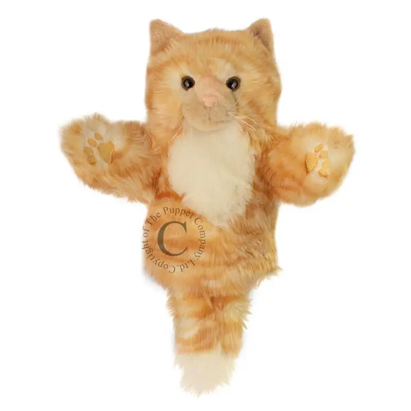 Ginger Cat Carpets Hand Puppet By The Puppet Company (Us) 1