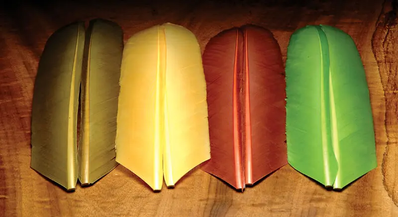 Hareline Turkey Biot Quill Material For Fly Tying 1
