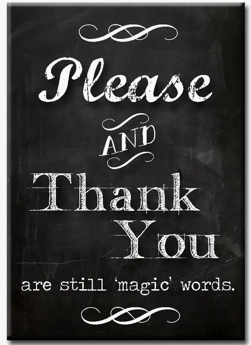 Please And Thank You Are Still Magic Words – Polite Reminder Magnet 1