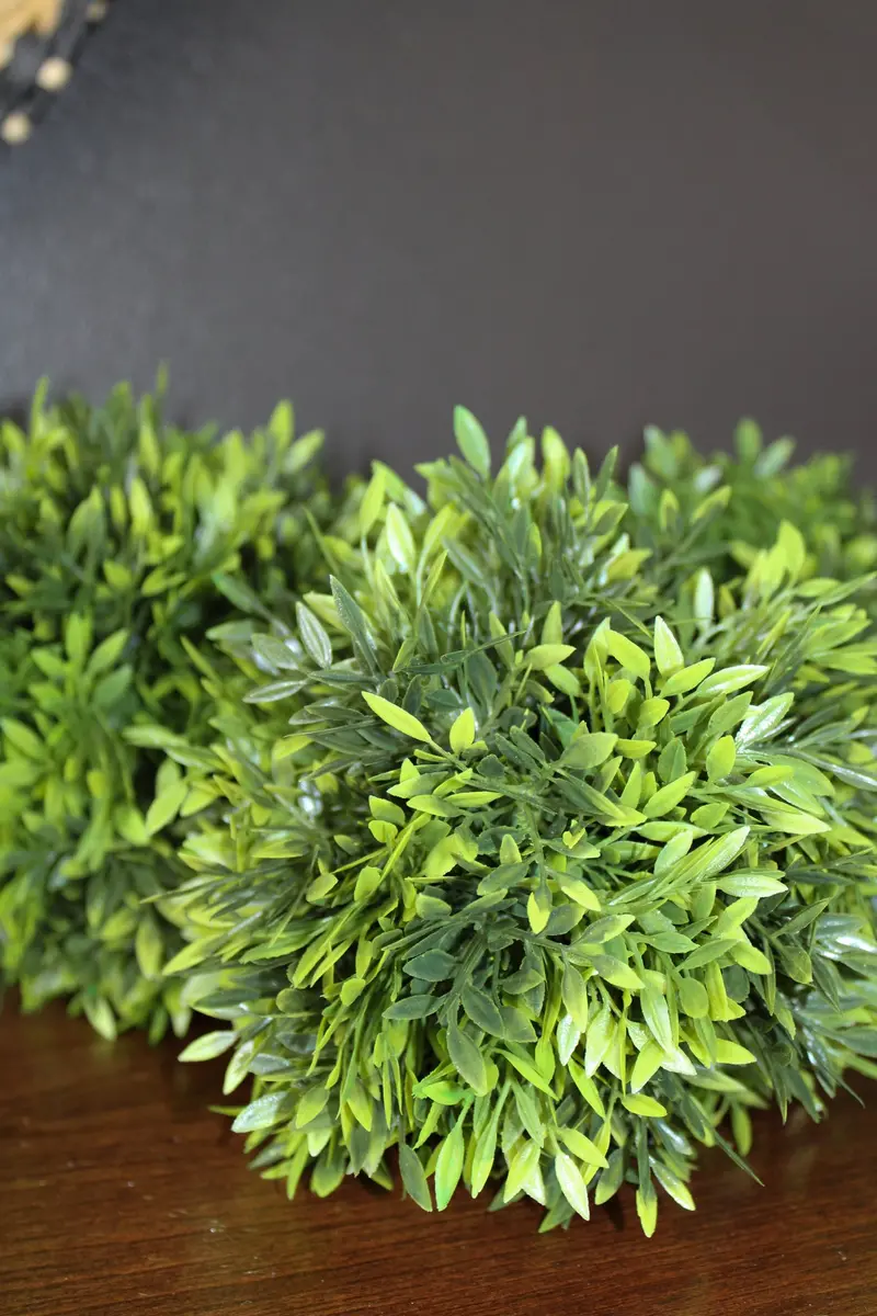 Podocarpus Rounded Foliage Ball 1