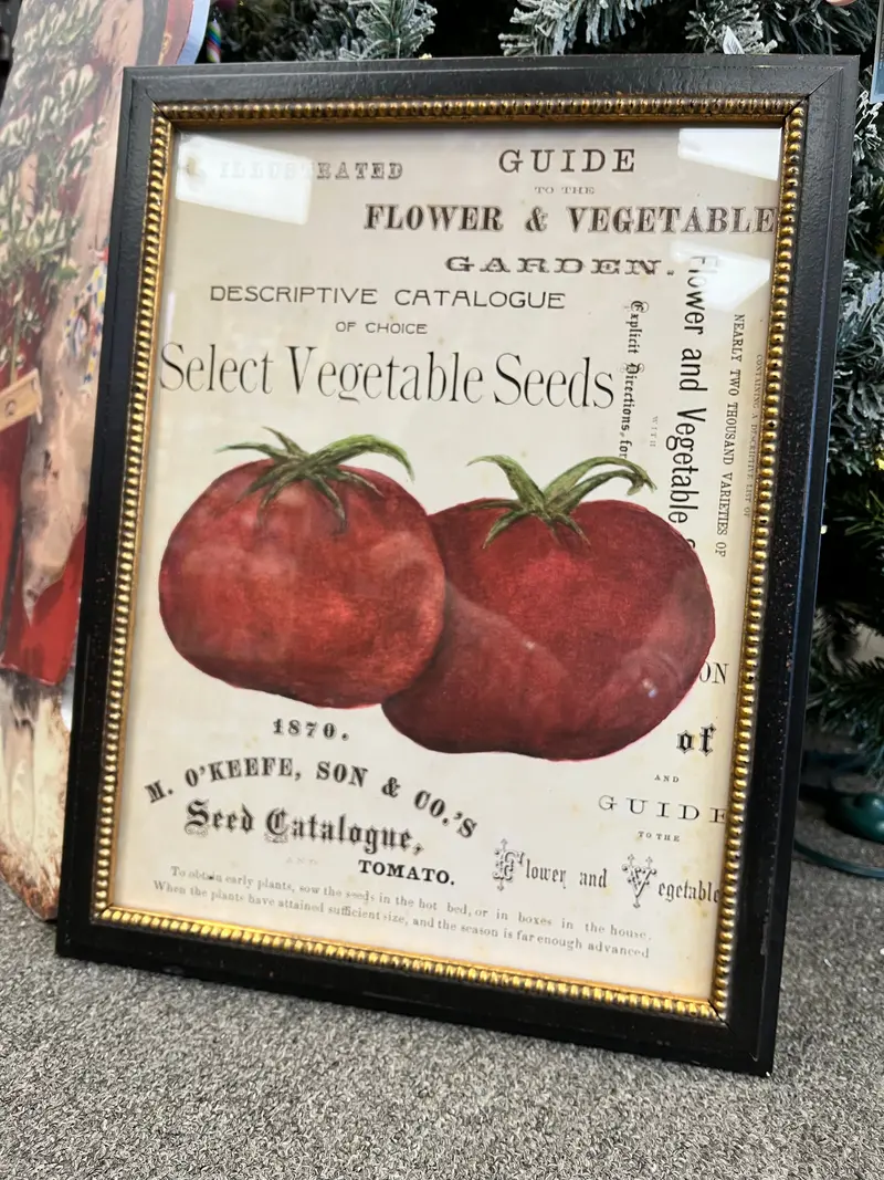 Watercolor Tomato Illustration – Title Page Art Print On Premium Paper 1