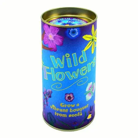 Wildflower Grow-Your-Own Kit – Channel Craft 1